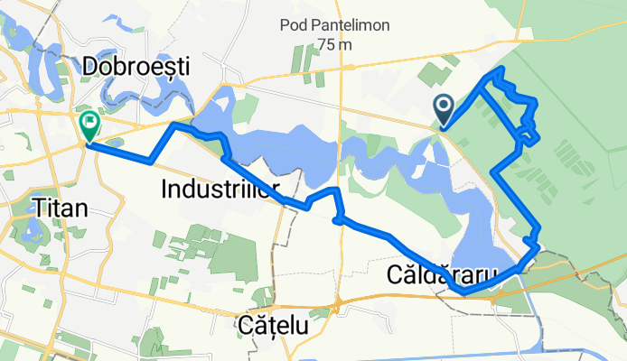 Cernica padure lacuri - Caldararu