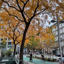 Foto 7 der Bikemap-Route "Bunt, grau und gravel aka Sunday ride extended"