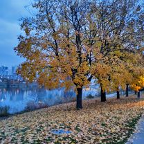 Foto 8 der Bikemap-Route "Bunt, grau und gravel aka Sunday ride extended"