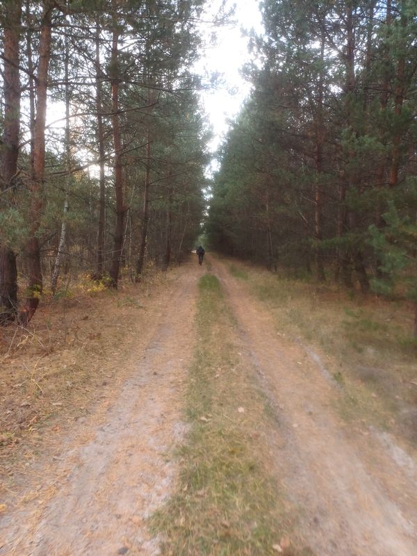 С141315 to вулиця Львівська