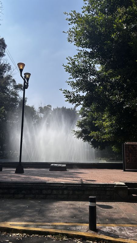 Foro - Pescado Chucho