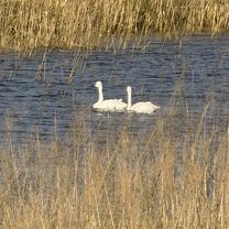 Bluff Trail, Bloomington to Bluff Trail, Bloomington