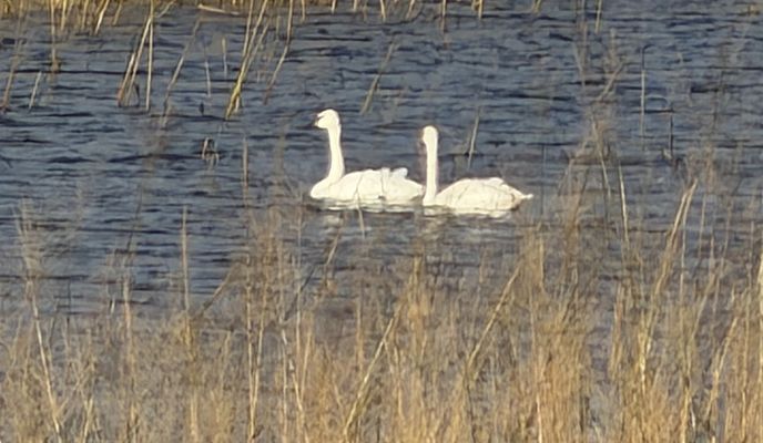Foto 1 del percorso Bikemap "Bluff Trail, Bloomington to Bluff Trail, Bloomington"
