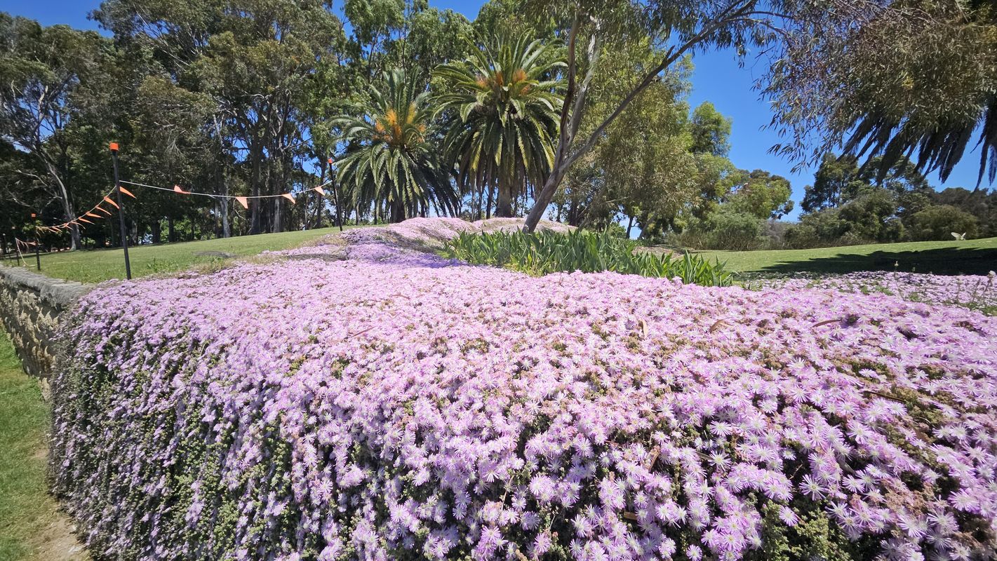 Hillaries, City, Subiaco, Burnsbeach Ride