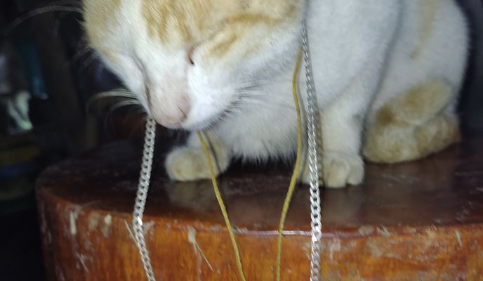 Foto 2 del percorso Bikemap "Fast ride"