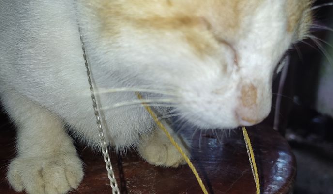 Foto 1 del percorso Bikemap "Fast ride"