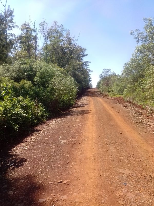 Ruta desdé Suipacha