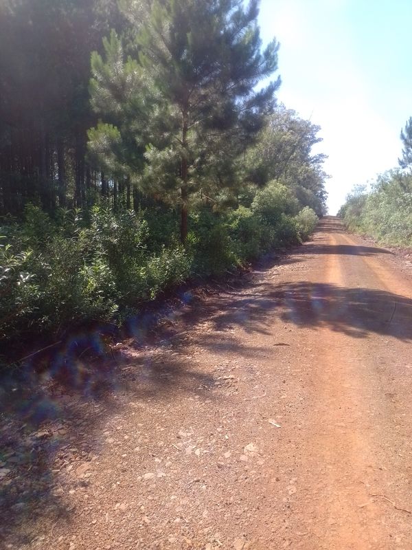 Ruta desdé Suipacha