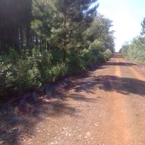 Ruta desdé Suipacha