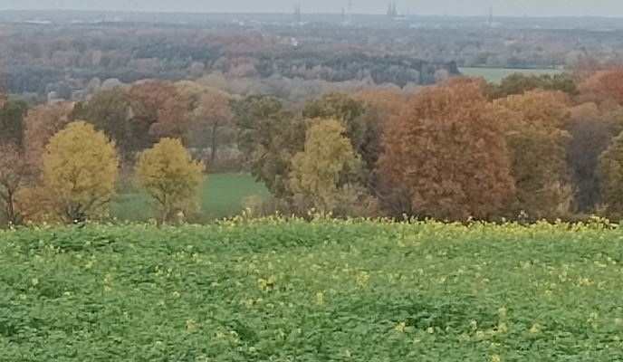 Foto 1 der Bikemap-Route "Am Wilden Teich nach Am Wilden Teich"
