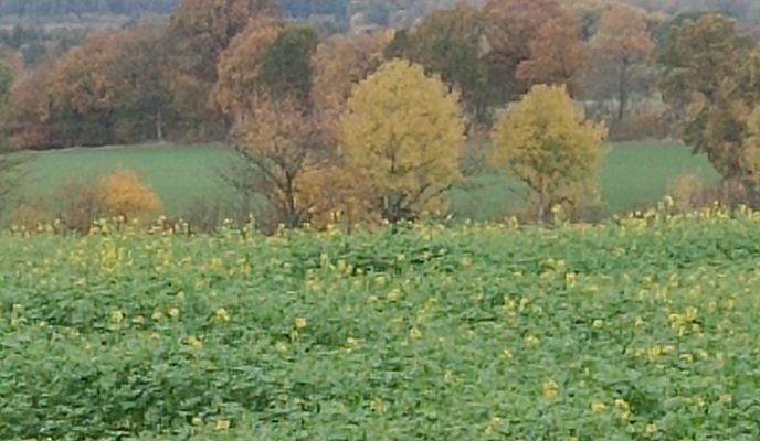 Foto 2 der Bikemap-Route "Am Wilden Teich nach Am Wilden Teich"