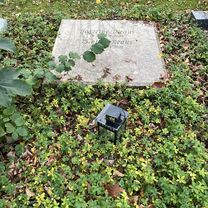 Loestraße, Bonn nach Maria-Montessori-Allee, Bonn