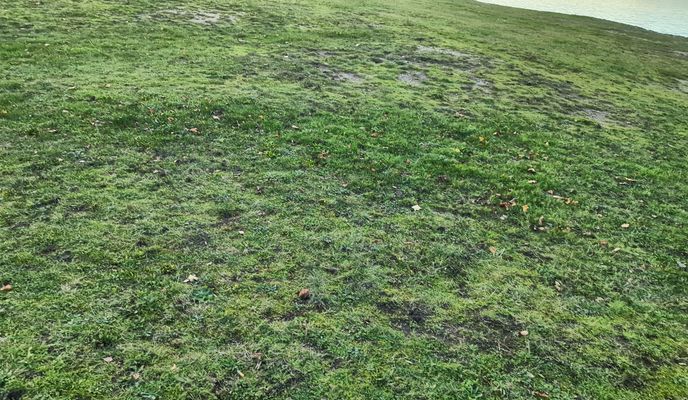 Foto 2 del percorso Bikemap "Lange Straße nach Lange Straße"