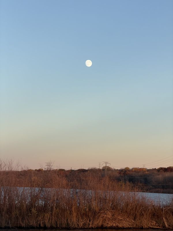 Black Dog Rd, Burnsville to Black Dog Rd, Burnsville