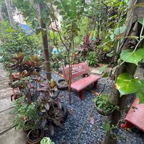 Cau Moi, Chau Thanh to Street No. 2, Ben Luc