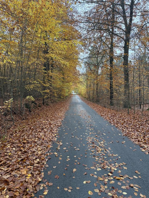 Skansevej, Hillerød to Nødebo, Fredensborg