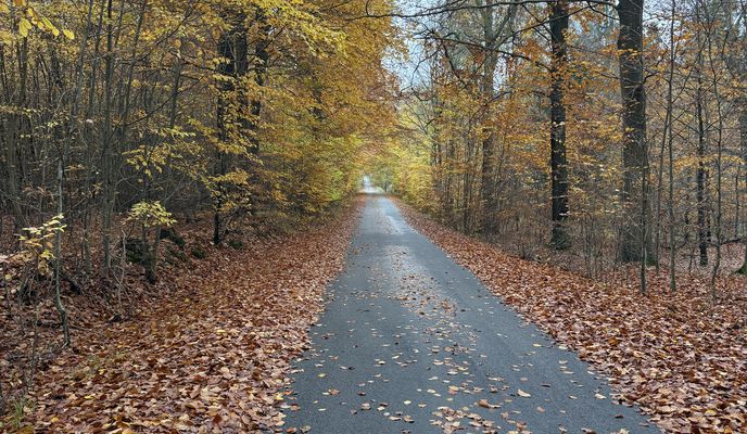 Photo 1 of the Bikemap route "Skansevej, Hillerød to Nødebo, Fredensborg"