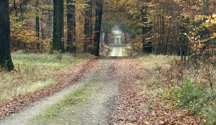 Photo 2 of the Bikemap route "Skansevej, Hillerød to Nødebo, Fredensborg"