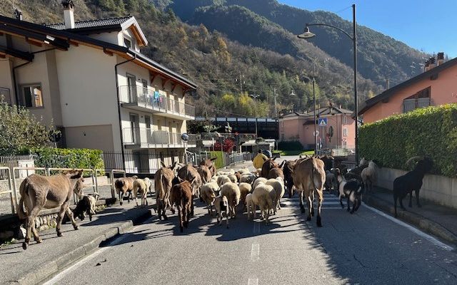 Zdjęcie 2 trasy Bikemap „Valsambusso”