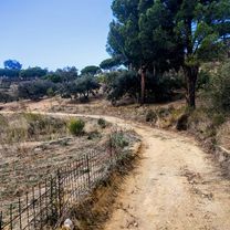 17 Roses Palau-Savardera Pau Vilajuïga Can-Julio Veïnat-de-Dalt Montperdut Garriguella Vilajuïga Vilaüt Ciutadella