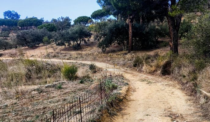 Photo 1 de l’itinéraire Bikemap « 17 Roses Palau-Savardera Pau Vilajuïga Can-Julio Veïnat-de-Dalt Montperdut Garriguella Vilajuïga Vilaüt Ciutadella »