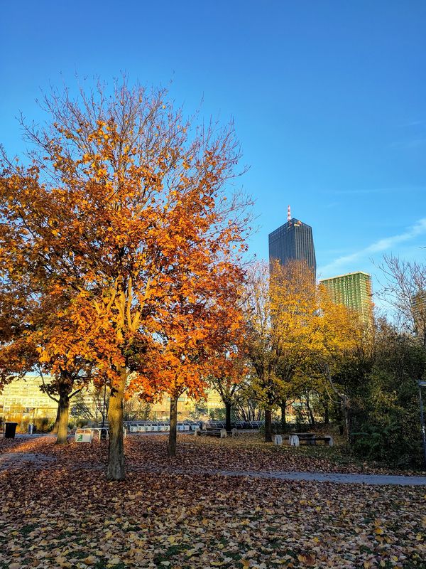 Asphalt Tuesday aka autumnble afterwork