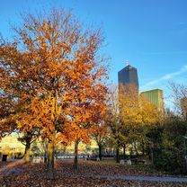 Asphalt Tuesday aka autumnble afterwork