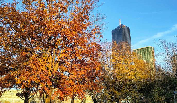 Zdjęcie 1 trasy Bikemap „Asphalt Tuesday aka autumnble afterwork”