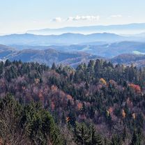 Photo 7 de l’itinéraire Bikemap « Čez Grič in hrib »