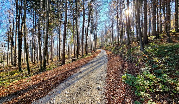 Photo 1 de l’itinéraire Bikemap « Čez Grič in hrib »