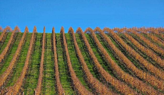 Photo 2 de l’itinéraire Bikemap « Čez Grič in hrib »