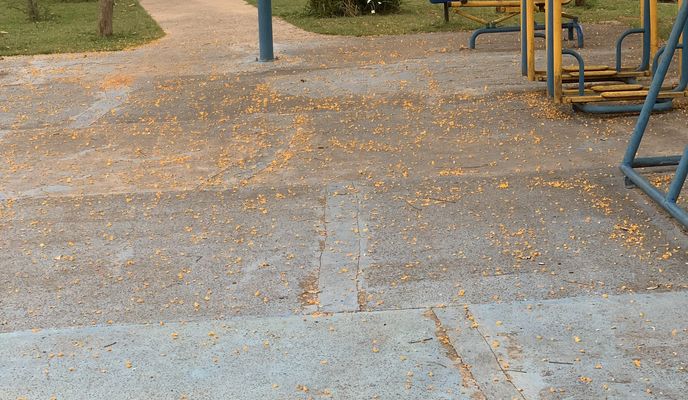 Photo 1 of the Bikemap route "Rua 19, Campinas a Rua 19, Campinas"