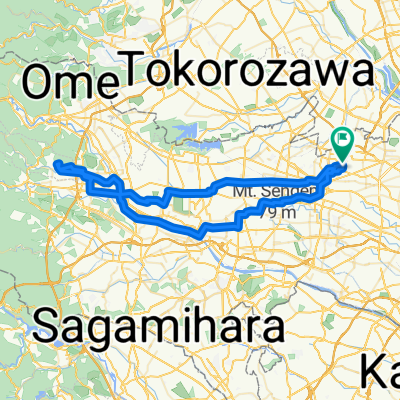 東京＜＞鹿野大仏