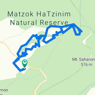 סינגל צבעי הרמון 1