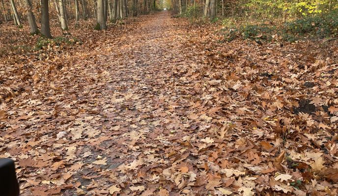 Foto 1 de la ruta de Bikemap "Lyoner Straße, Frankfurt am Main nach Rüsselsheim am Main"