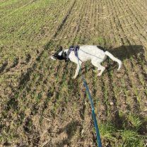 Übach-Palenberg nach Auf der Höhe, Übach-Palenberg