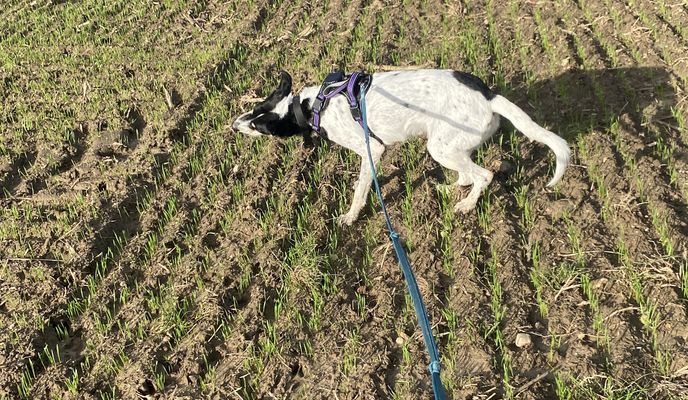Foto 1 der Bikemap-Route "Übach-Palenberg nach Auf der Höhe, Übach-Palenberg"
