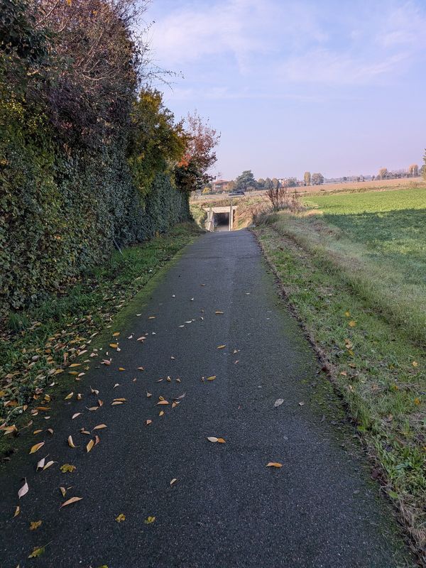 Via de' Carracci to Via Francesco Zanardi