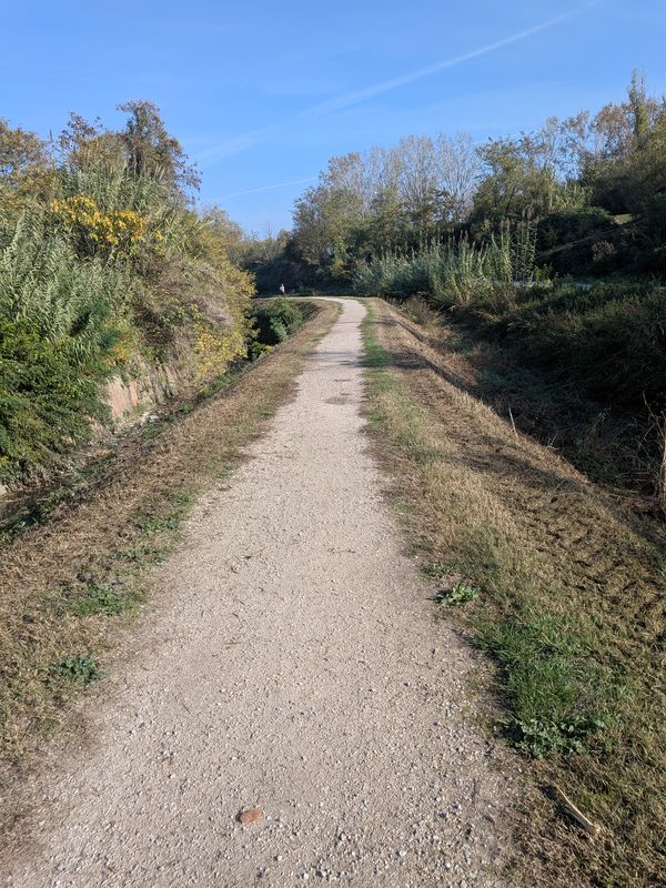 Via de' Carracci to Via Francesco Zanardi