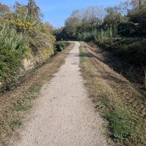 Via de' Carracci to Via Francesco Zanardi