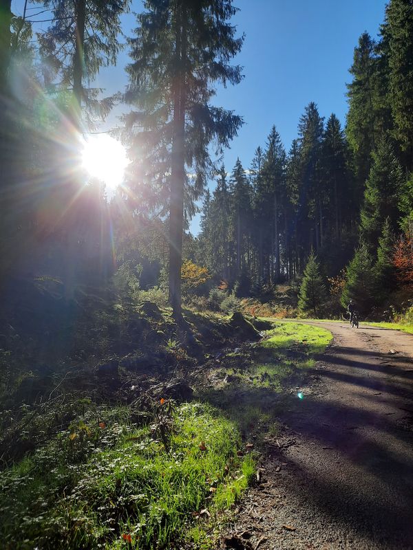 Oleftalstraße nach Oleftalstraße