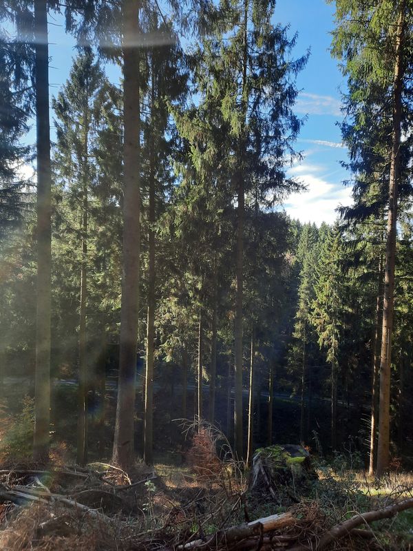 Oleftalstraße nach Oleftalstraße