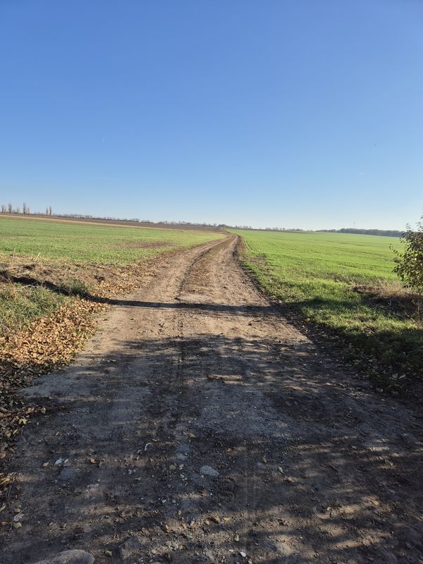 Hegyalja út - Hegyalja út