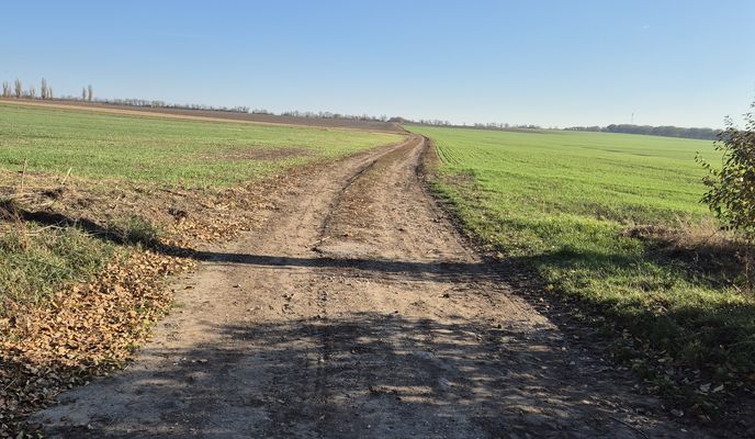 Photo 2 of the Bikemap route "Hegyalja út - Hegyalja út"