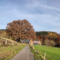 Foto 8 der Bikemap-Route "Oeventrop,Rumbeck, Arnsberg, Alte Feld,Altstadt,Schreppenberg,Gut Wintrop,Uentrop, Oeventrop."