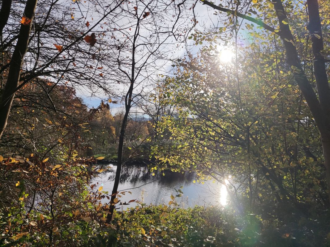 Oeventrop,Rumbeck, Arnsberg, Alte Feld,Altstadt,Schreppenberg,Gut Wintrop,Uentrop, Oeventrop.