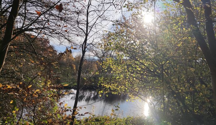 Foto 2 der Bikemap-Route "Oeventrop,Rumbeck, Arnsberg, Alte Feld,Altstadt,Schreppenberg,Gut Wintrop,Uentrop, Oeventrop."