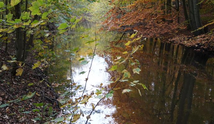 Foto 2 del percorso Bikemap "Bad Segeberg, Trave, Traventhaler Straße"