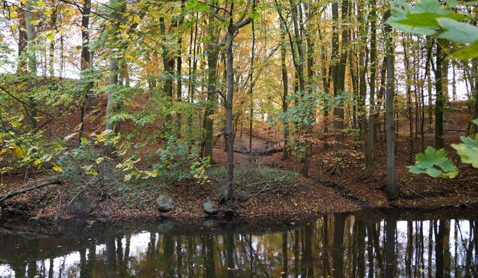 Foto 1 del percorso Bikemap "Bad Segeberg, Trave, Traventhaler Straße"