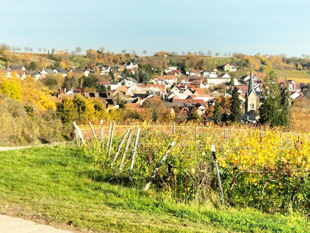 Mommenheim Vendersheim Mommenheim